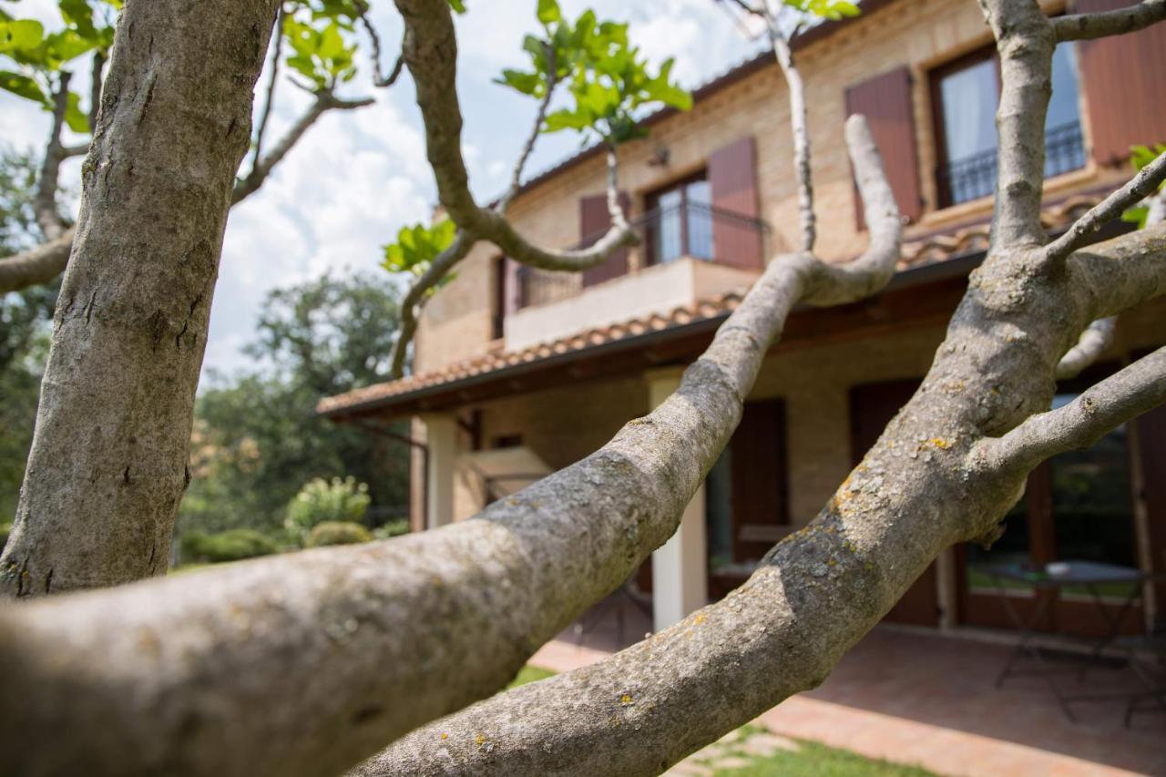 Serrungarina Casa Di Mi Bed & Breakfast エクステリア 写真