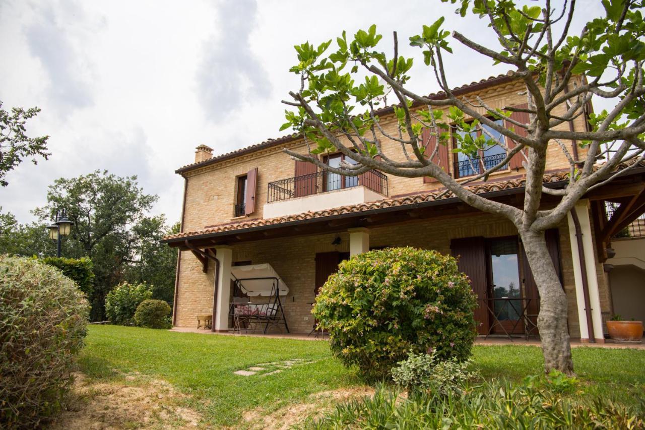 Serrungarina Casa Di Mi Bed & Breakfast エクステリア 写真