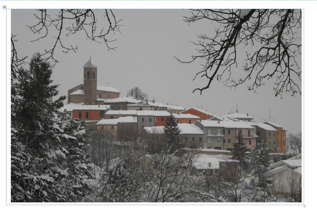 Serrungarina Casa Di Mi Bed & Breakfast エクステリア 写真